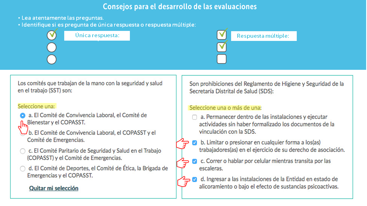 Si la pregunta tiene múltiples respuestas, dice «Seleccione una o más de una». Si la pregunta solo tiene una respuesta, dice «seleccione una».