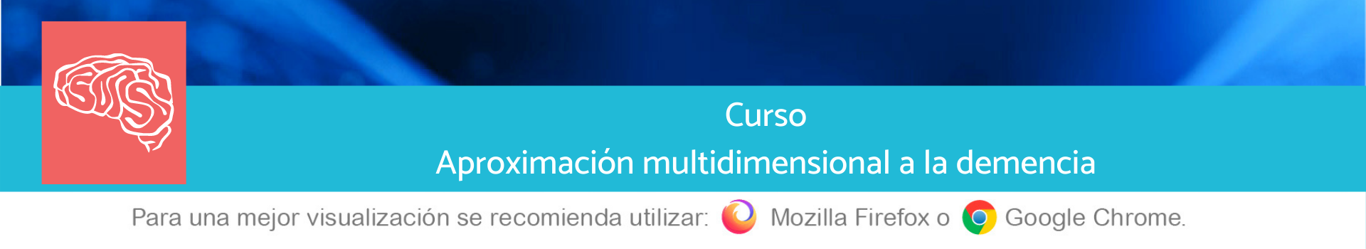 Aproximación multidimensional a la demencia